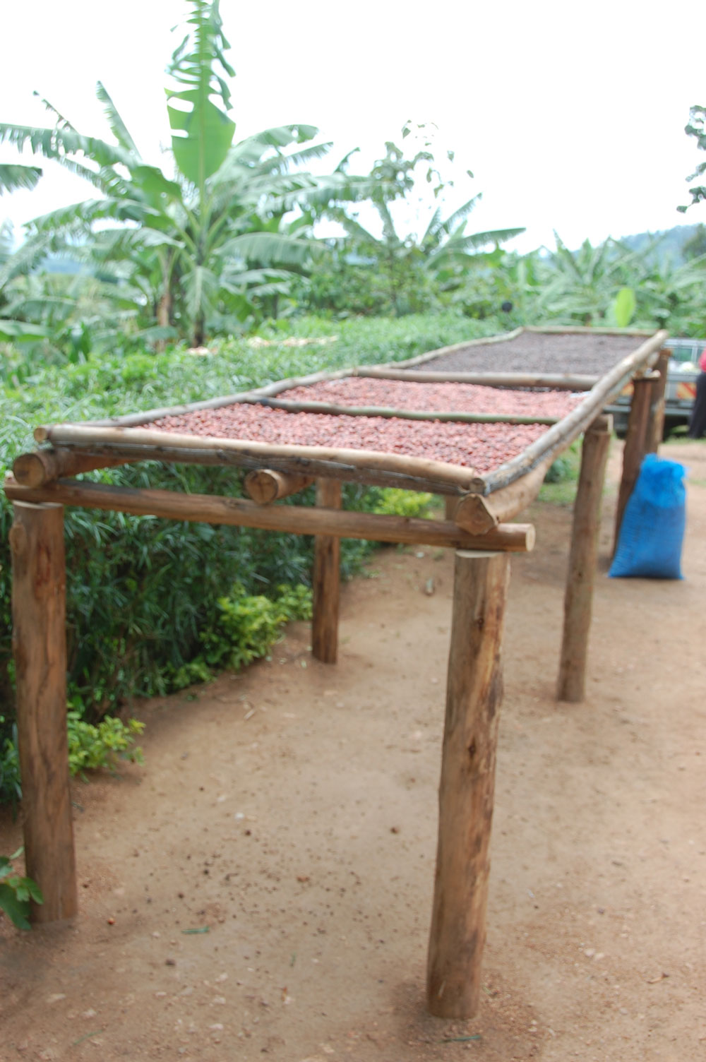 Trockentische Trockentische